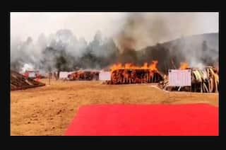 Video: Andhra Pradesh Police Burn 2 Lakh Kg Ganja Worth Rs 500 Crore in Visakhapatnam | WATCH