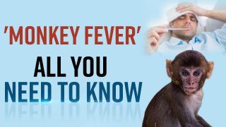 Alert: Kerala's Wayanad Detects First Case Of Monkey Fever, Symptoms And Risk Factors, All You Need To Know - Watch
