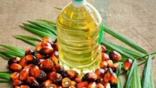 Palm Oil Import Tax : पाम ऑयल इंपोर्ट टैक्स बढ़ाने के प्रस्ताव पर विचार कर रहा भारत, किसानों को मदद पहुंचाने का प्रयास