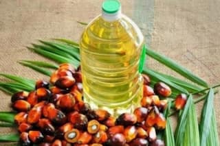 Prices of Packaged Goods to Rise as Indonesia   s Palm Oil Export Ban Comes Into Effect Today