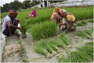 कैबिनेट बैठक में किसानों के लिए बड़ा ऐलान- 3 लाख तक के लोन पर ब्याज में 1.5% की छूट