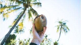 5 Reasons Why Coconut is Best Food For Thyroid Health
