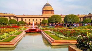 5 Reasons Why You Should Visit Mughal Gardens With Your Partner This Valentine's Day
