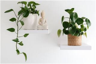 Vastu Tips: 3 Ways to Invite Prosperity to Your Home