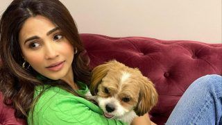 Animal Lover Daisy Shah Uses Social Media To Help The Voiceless