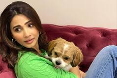 Animal Lover Daisy Shah Uses Social Media To Help The Voiceless