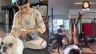 Samantha Ruth Prabhu Shares a Cute Gym Video That Gets Disturbed By Two Fur Babies | Watch