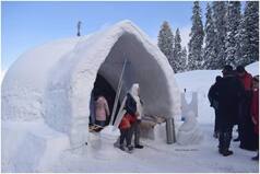 World's Largest Igloo Cafe Opens in J&K's Gulmarg, Mesmerises Tourists With Its Dreamy Pics