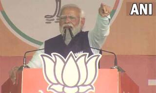 PM मोदी ने कांग्रेस के गढ़ अमेठी में हमला बोला- परिवारवादियों की सरकार में खानदान वाले ही होते हैं 'सुपर मिनिस्टर'