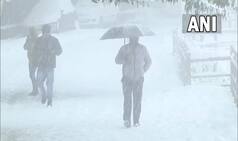 Weather Forecast: दिल्ली में छाया घना कोहरा-पहाड़ों में बर्फबारी, अगले तीन दिनों तक ठंड का प्रकोप रहेगा जारी