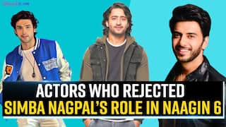 Shakti Arora To Vikram Singh: इन पॉपुलर टीवी एक्टर्स ने किया था Naagin 6 में Rishabh के Role को Reject - Watch List