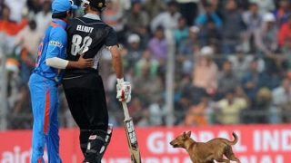 Cricket news icc new rule related to animals birds entry in the ground during match 5276050