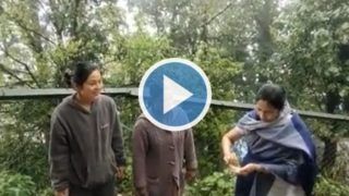 Momo With Mamata: Bengal CM Makes Momo At Darjeeling Stall | Watch