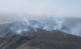 Massive Fire at Sariska Tiger Reserve in Rajasthan's Alwar Continues to Rage