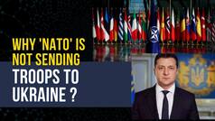Russia-Ukraine War: Why NATO Has Not Deployed Troops In Ukraine - Explained