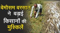 फसलों पर मौसम की मार से 10 से ज्यादा जिलों में बर्बाद हुईं फसलें