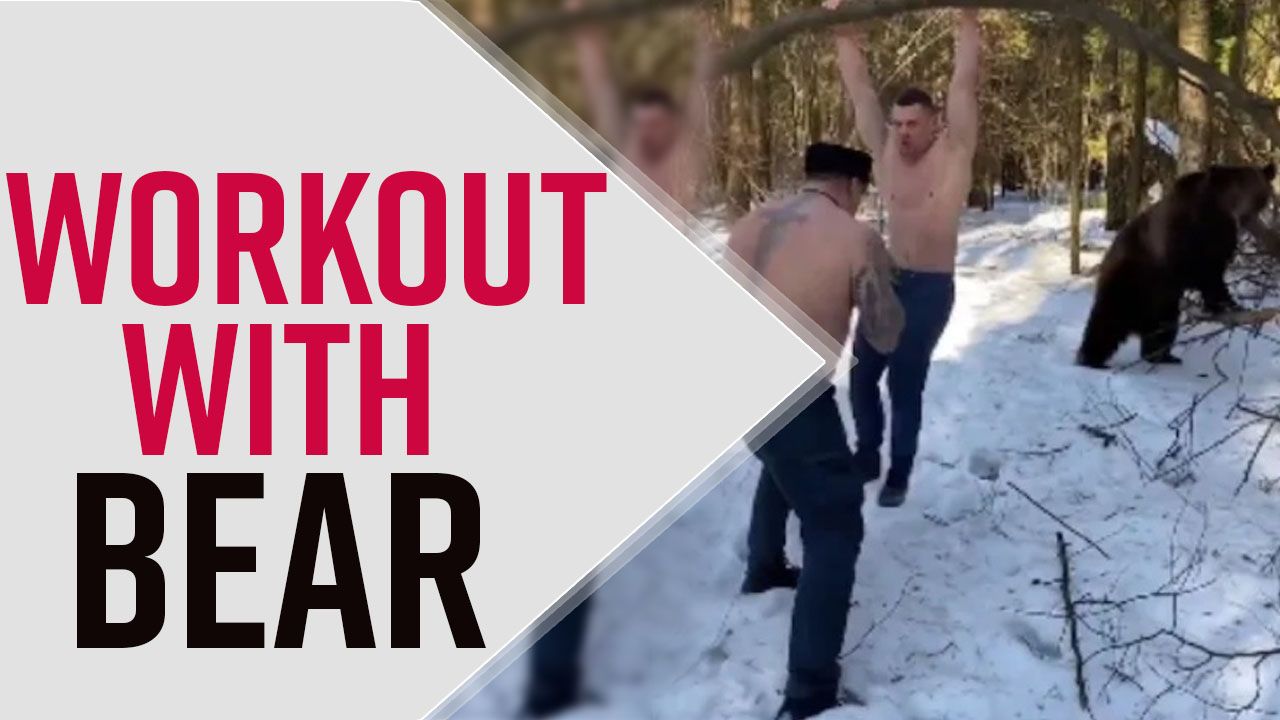 Video Of Two Men Working Out With A Bear In Forest Goes Viral, Netizens Say, 'Bear Is Heating Up His Food' - Watch