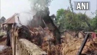 West Bengal News: बीरभूम जिले में आग की होली, 10-12 घरों का दरवाजा बंद कर 10 लोगों को जिंदा जला डाला, होगी जांच