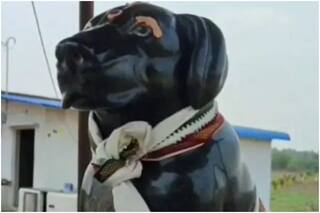 Pyar ka Bandhan: Tamil Nadu Man Builds Temple in Memory of His Late Pet Dog