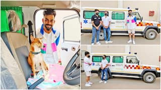 Virat Kohli GOLDEN Act For Stray Animals Goes Viral, See Photos