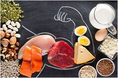 Animal Protein vs Plant Protein: Which Form of Protein is Healthier And How to Include That in Your Diet