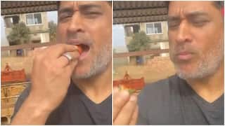250 Gram Strawberry For INR 50! - Dhoni To Open His Farmhouse For Public On Holi