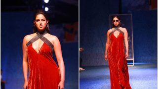 Harnaaz Sandhu Channels Her Inner Quintessential Diva in Burnt Orange Velvet Dress | See Pics
