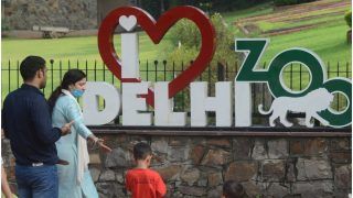 Delhi Zoo Welcomes Back Tourists After 2 Months, 4,000 Tickets Sold Overnight