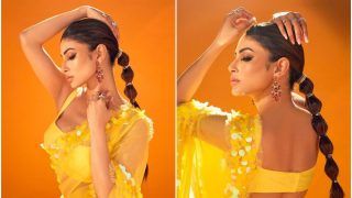 Mouni Roy Flaunts Her Fabulous Waistline in a Sheer Yellow Saree Worth Rs 84K And oh That Colour! - See Pics