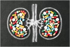 World Kidney Day 2022: 8 Tips to Keep Kidneys Healthy in Youngsters