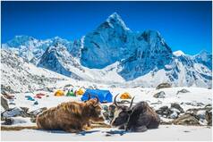 Nepal Tourism: Good News! Fully Vaccinated Travellers do Not Require Mandatory RT-PCR Test Anymore