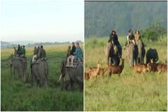 Assam's Kaziranga National Park Witnesses Tremendous Rise in Tourist Footfall, Highest in 12 Years