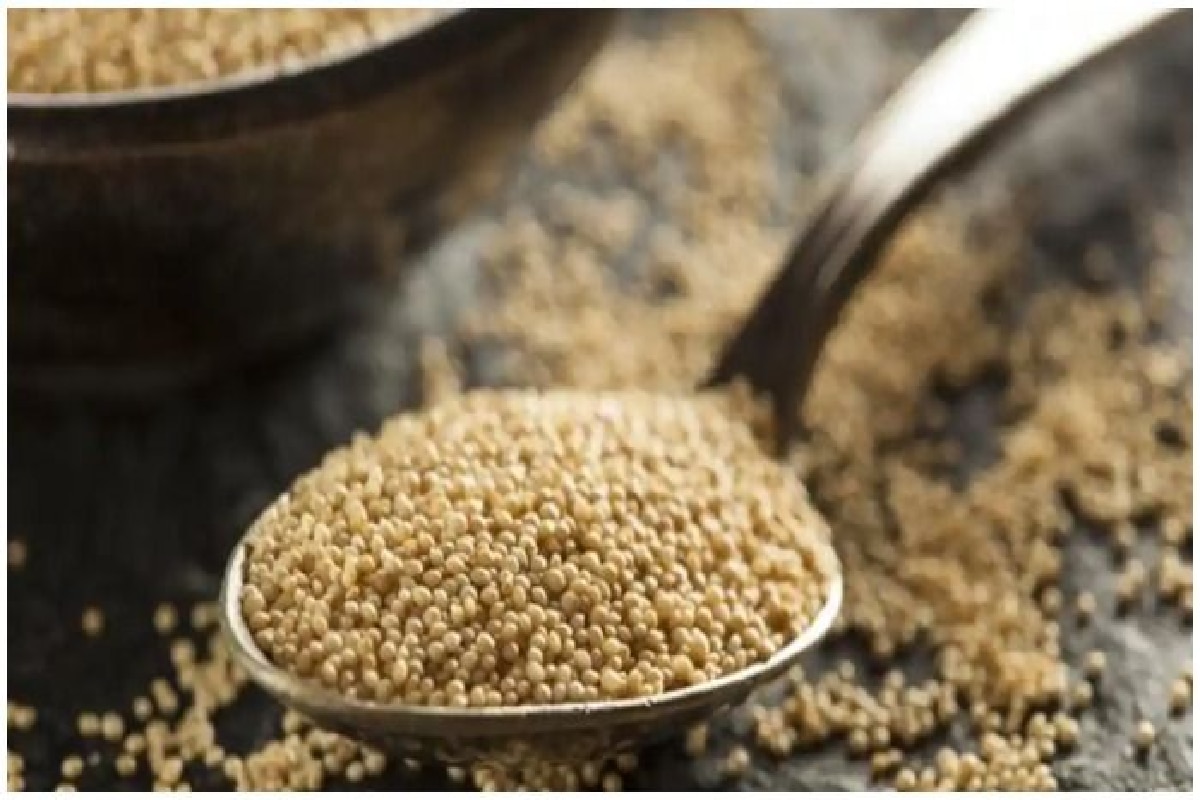 Navratri Food: नवरात्रि के व्रत में खाएं चौलाई के लड्डू, जानें इसकी आसान रेसिपी