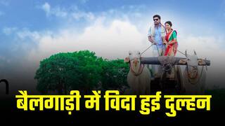 Viral Video: बैलगाड़ी में बैठकर दुल्हन हुई विदा, भाई बना सारथी | Watch Video