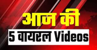 Top 5 Viral News: पटरी पर लेटी रही महिला, ऊपर से गुजर गई पूरी ट्रेन, पूल में मस्ती करते dogs का वीडियो वायरल