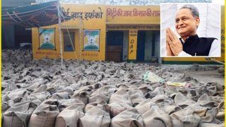राजस्थान में गहलोत सरकार ने शुरू की सरसों और चने की खरीद, किसानों के लिए टोल फ्री नंबर जारी, जानिए कितना मिला भाव