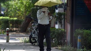 55 Per Cent Rise In Deaths In India Due To Extreme Heat In 2021: Report
