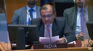 India Condemns Civilian Killings In Ukraine's Bucha At UNSC, Supports Call For Independent Probe