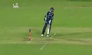 'But, Whose Fault Was it?' Twitterverse REACTS After Hardik Loses Cool on Miller After Runout | WATCH