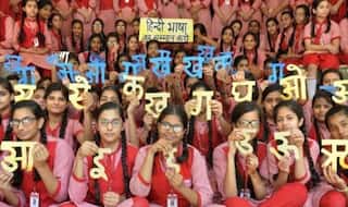 Explained: What India's Constitution Says About Hindi and National Language