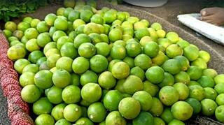 Guard Your Lemons: Thieves Steal 60 Kg From Godown in UP's Shahjahanpur