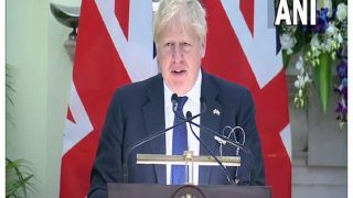 United Kingdom Has Ordered Extradition of Vijay Mallya And Nirav Modi: Boris Johnson