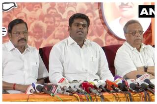 Won   t Allow Imposition of Hindi in Tamil Nadu: TN BJP Chief