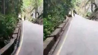 Viral Video: Kerala Biker Dies After Huge Rock Falling From Hill Hits His Bike. Watch