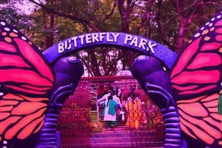 Butterfly Park In Delhi - Timings, Address, Ticket Prices And More