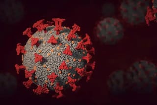 First    Possible Instance of    Animal-to-Human Transmission of COVID Virus    Reported From US