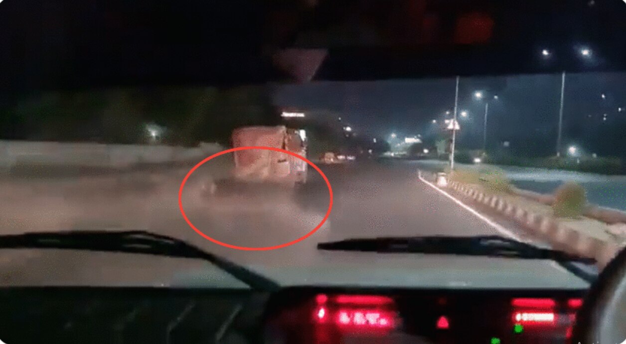 Smugglers Throw Cattle From Truck In Dramatic High-Speed Chase In Gurugram | Watch
