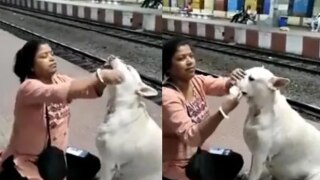 Woman Feeds Curd Rice to Stray Dog at West Bengal Railway Station, Kindness Wins The Internet | Watch