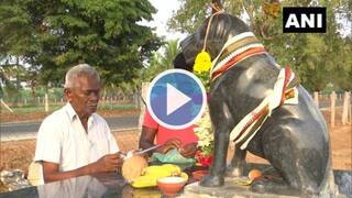 Tamil Nadu Man Builds Temple With Marble Statue In Memory of His Pet Dog | Pics & Video