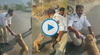 Maharashtra Police Feed Water to Thirsty Monkey, Win Hearts of Netizens | Watch
